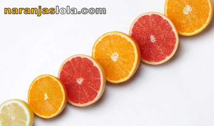 Proveedores de fruta, hostelería, restaurantes, hoteles Proveedores de fruta, hostelería, restaurantes, hoteles