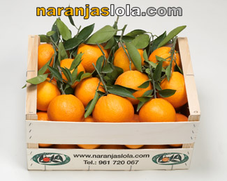 Regalo de empresa, Regalos originales Regalo de empresa, Regalos originales